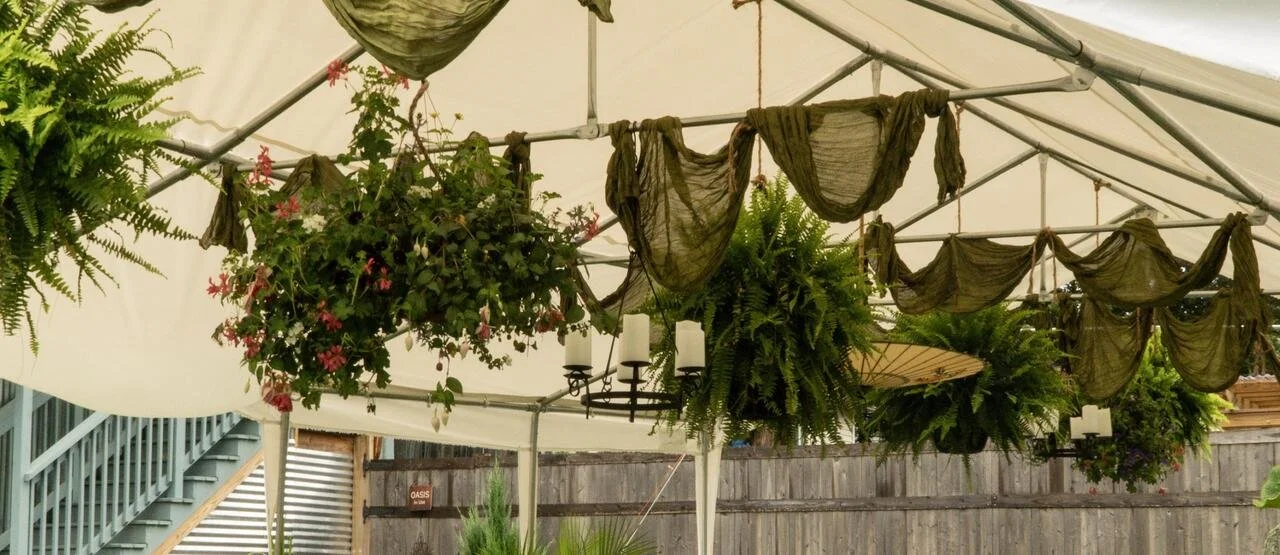 The Summer Garden Series: Summer Serenade