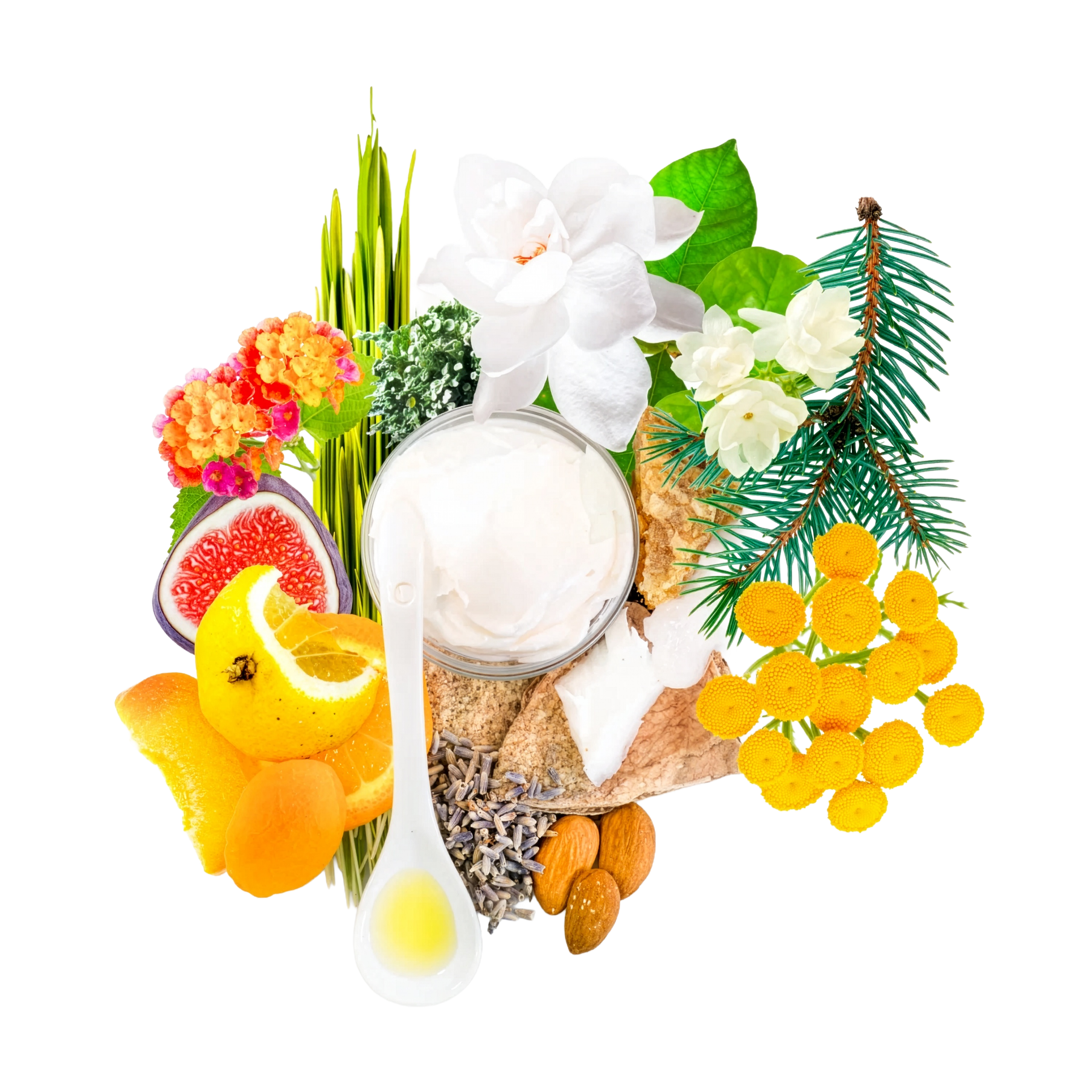 Natural botanical ingredients included in Pure Eco Spa Body Ritual