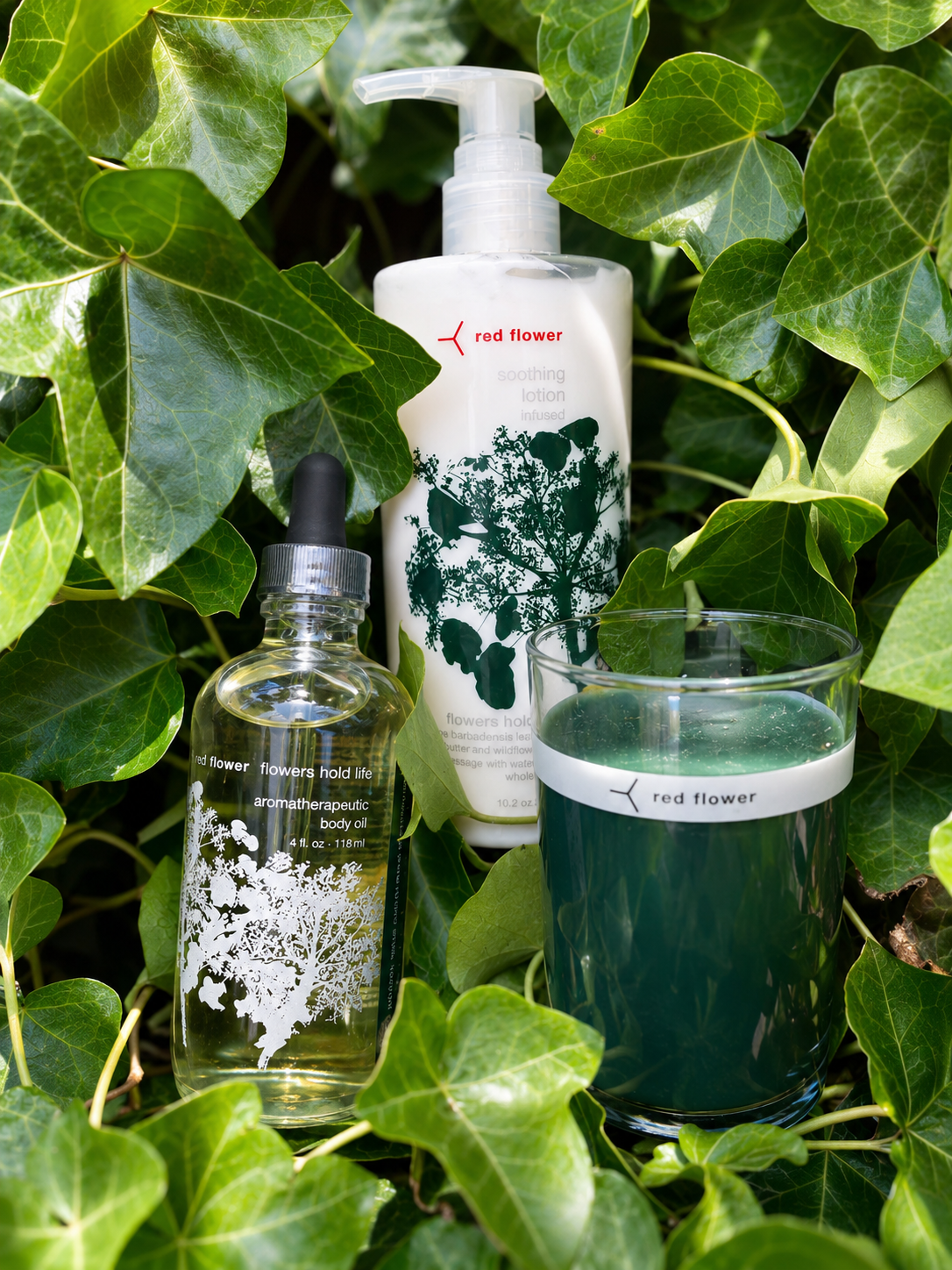 Spearmint body polish exfoliation treatment for smooth, radiant skin