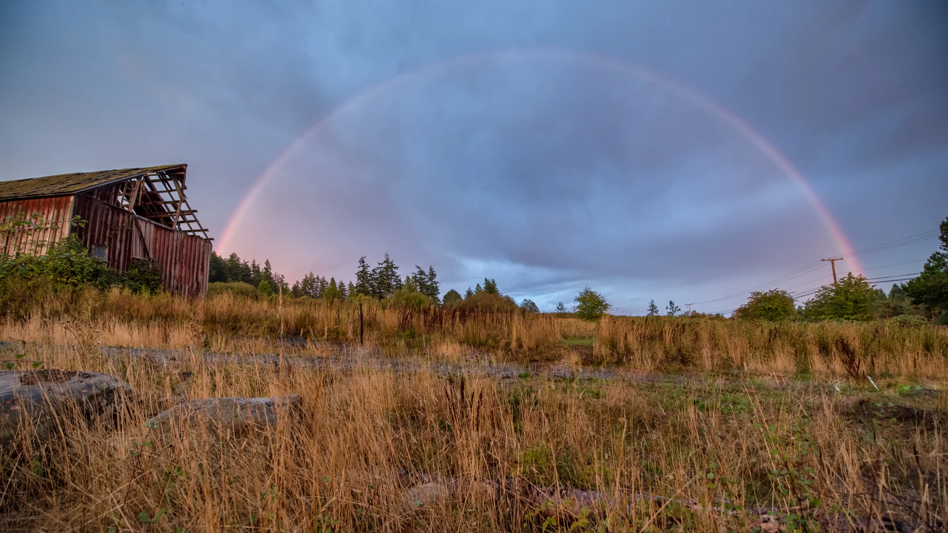 full_raibow2.jpg