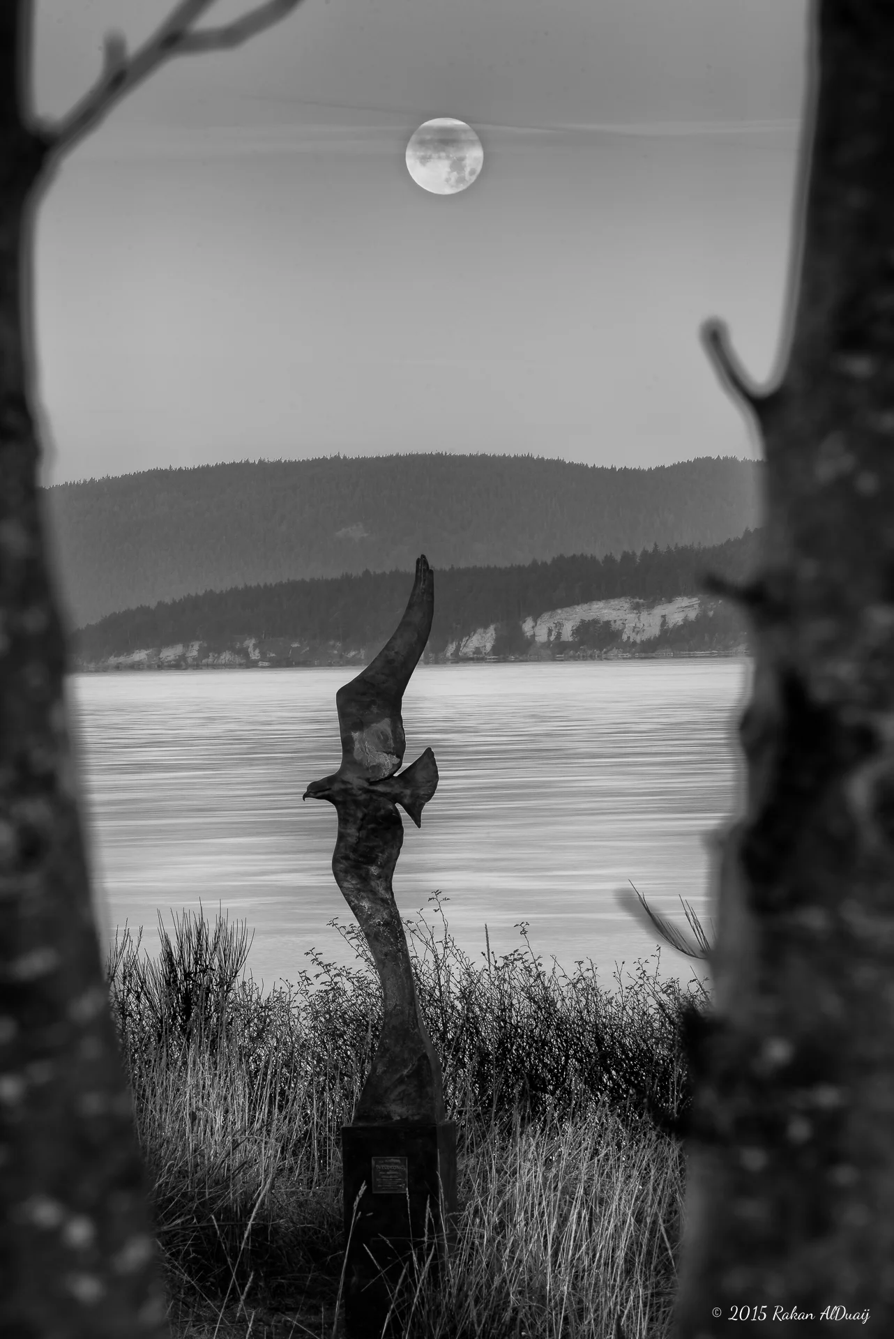Windsong