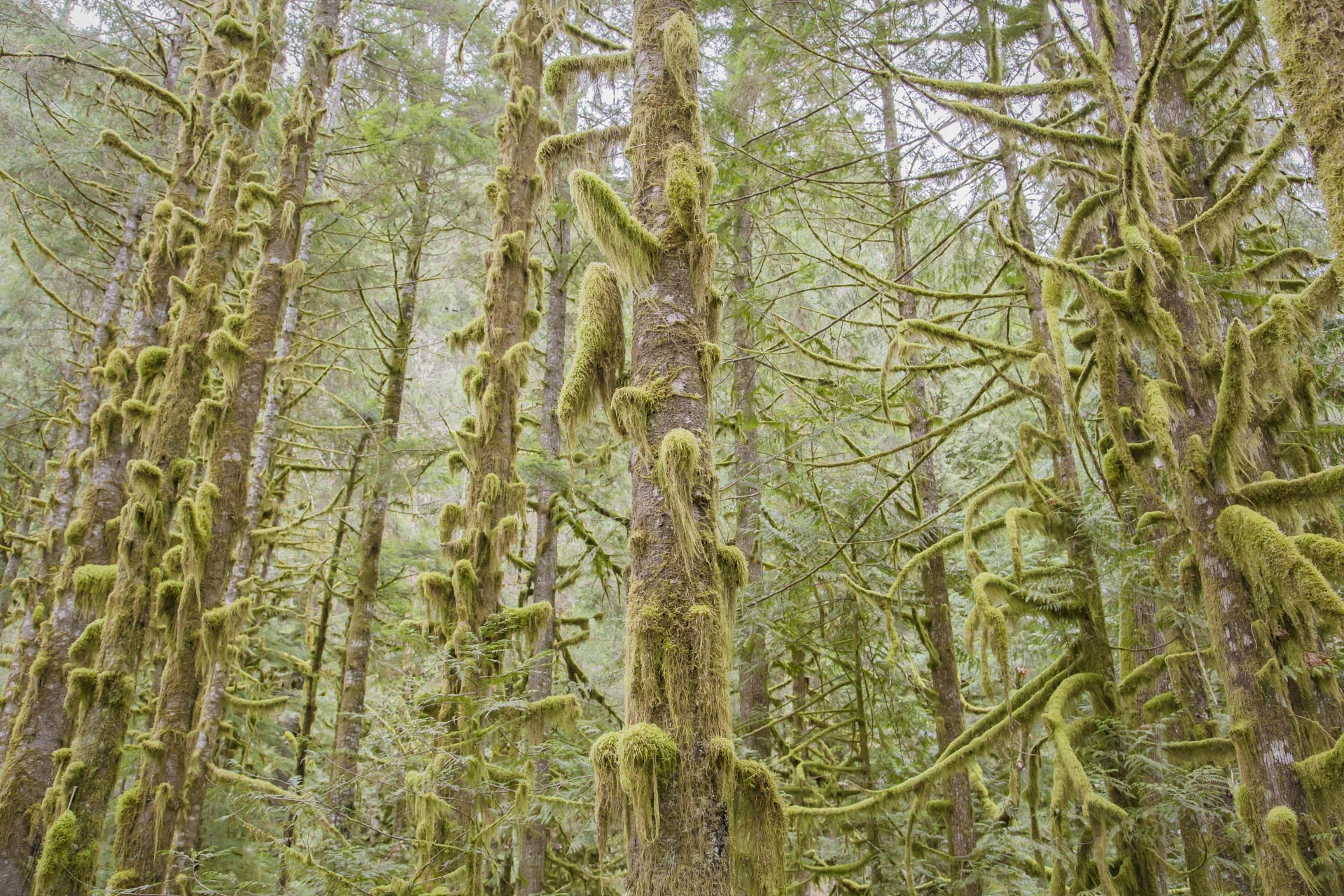 IMG_0641.jpg