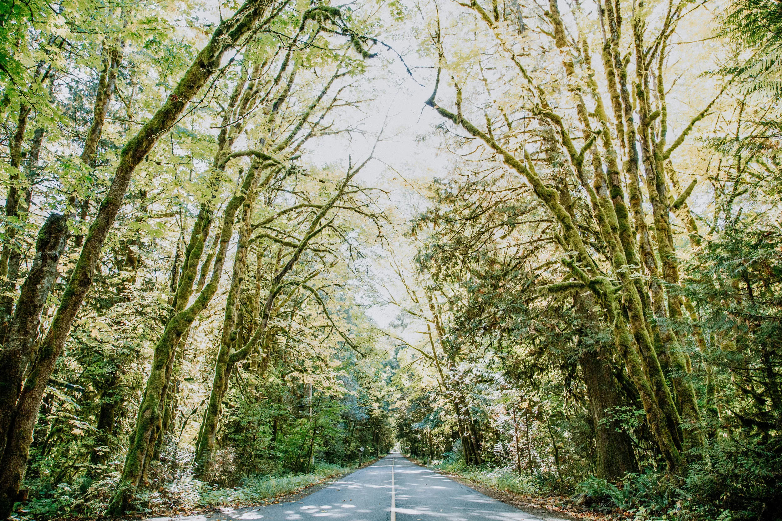 Squamish Lifestyle Photography Nicole Gurney Photo