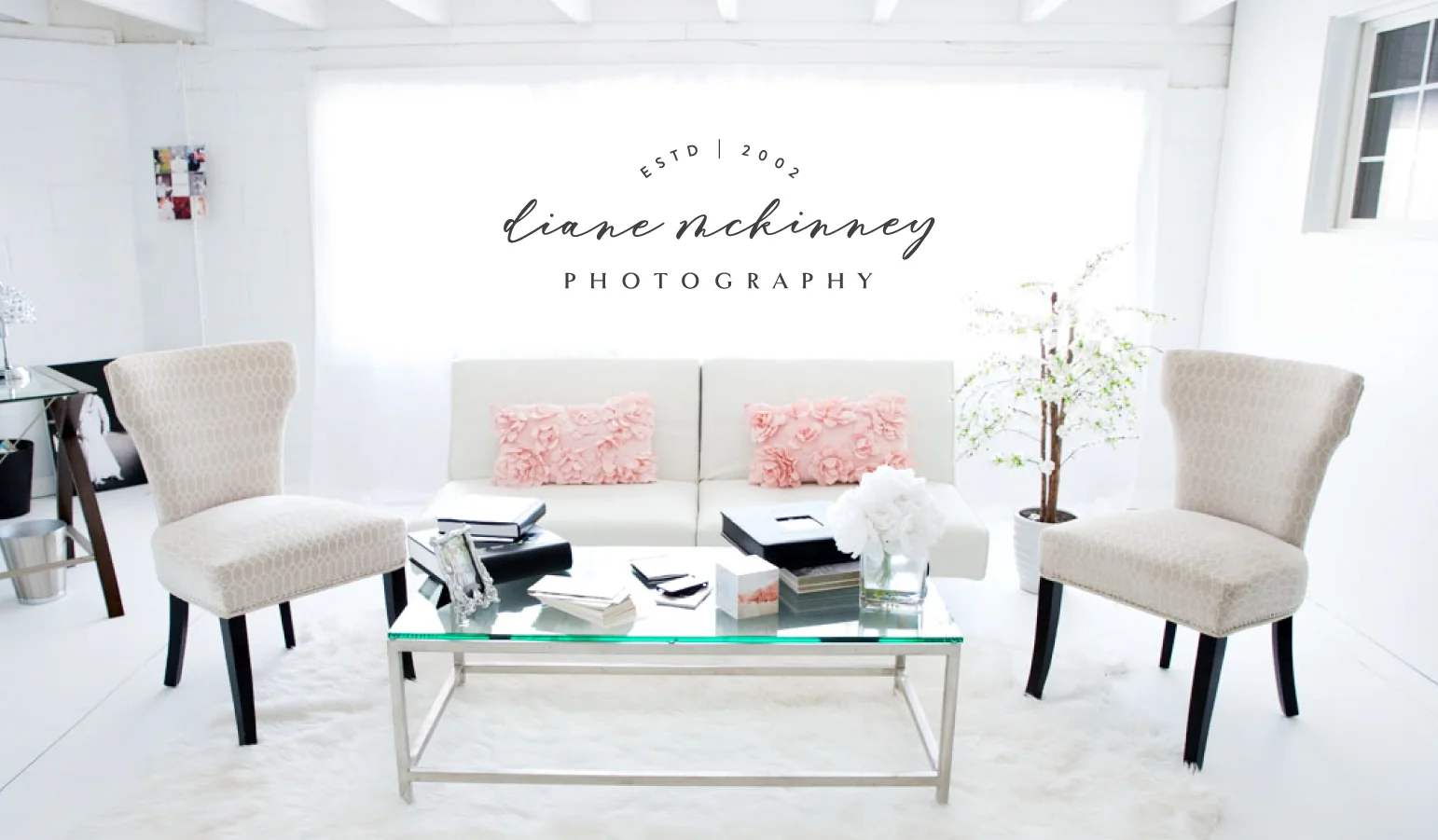Diane-McKinney-Brand-03.jpg