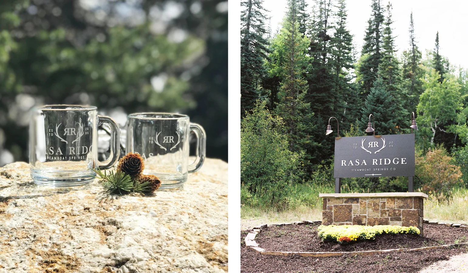 Rasa-Ridge-Brand-Application.jpg