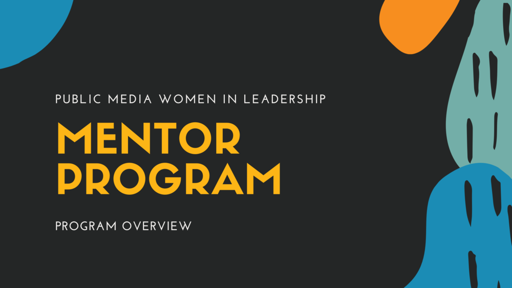 Monetære fusion Lære udenad Mentoring Program — Public Media Women in Leadership