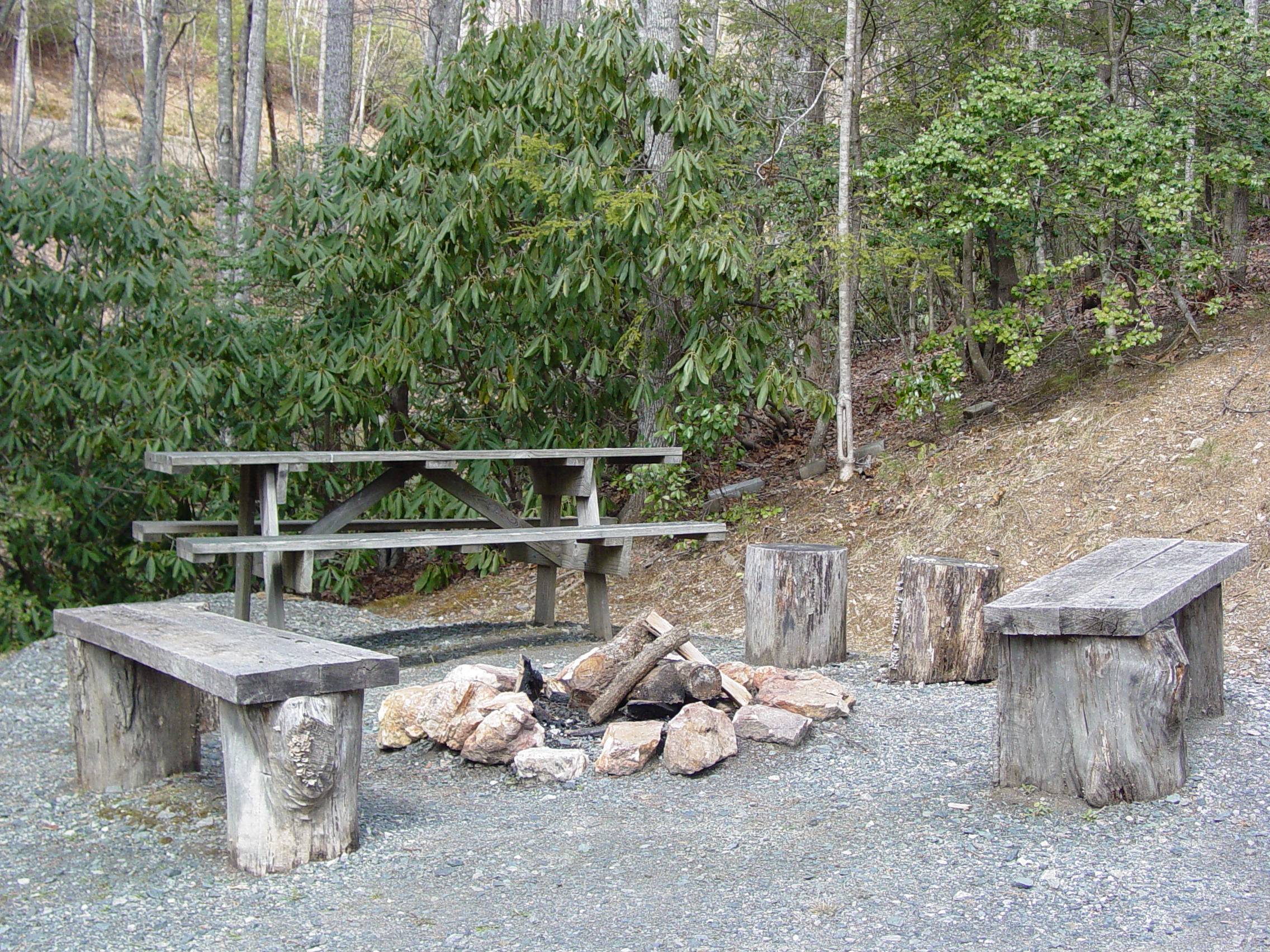 WC_Picnic_Campfire_02.jpg