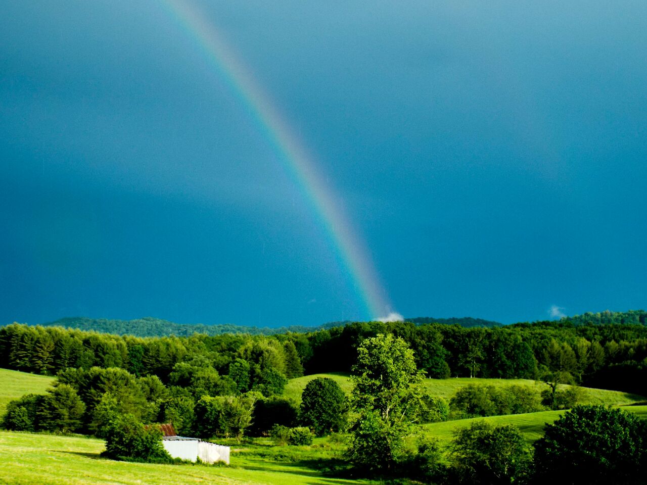 Rainbow_80_.jpeg