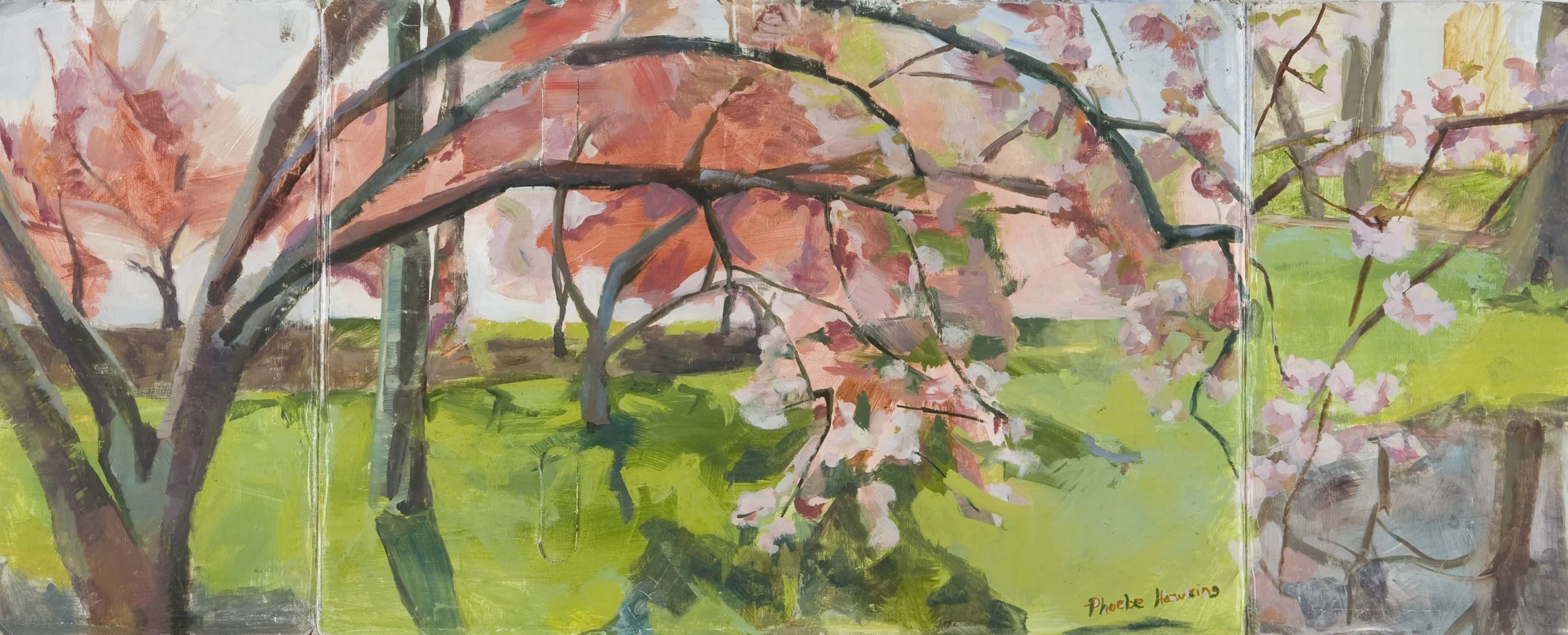 Cherry Blossoms, 2007