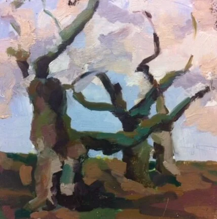 Cherry Trees, 2016