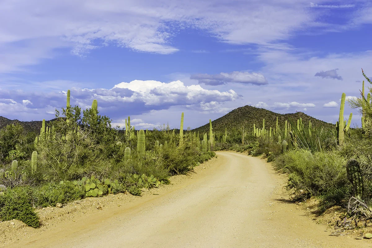 Road through desert wilderness