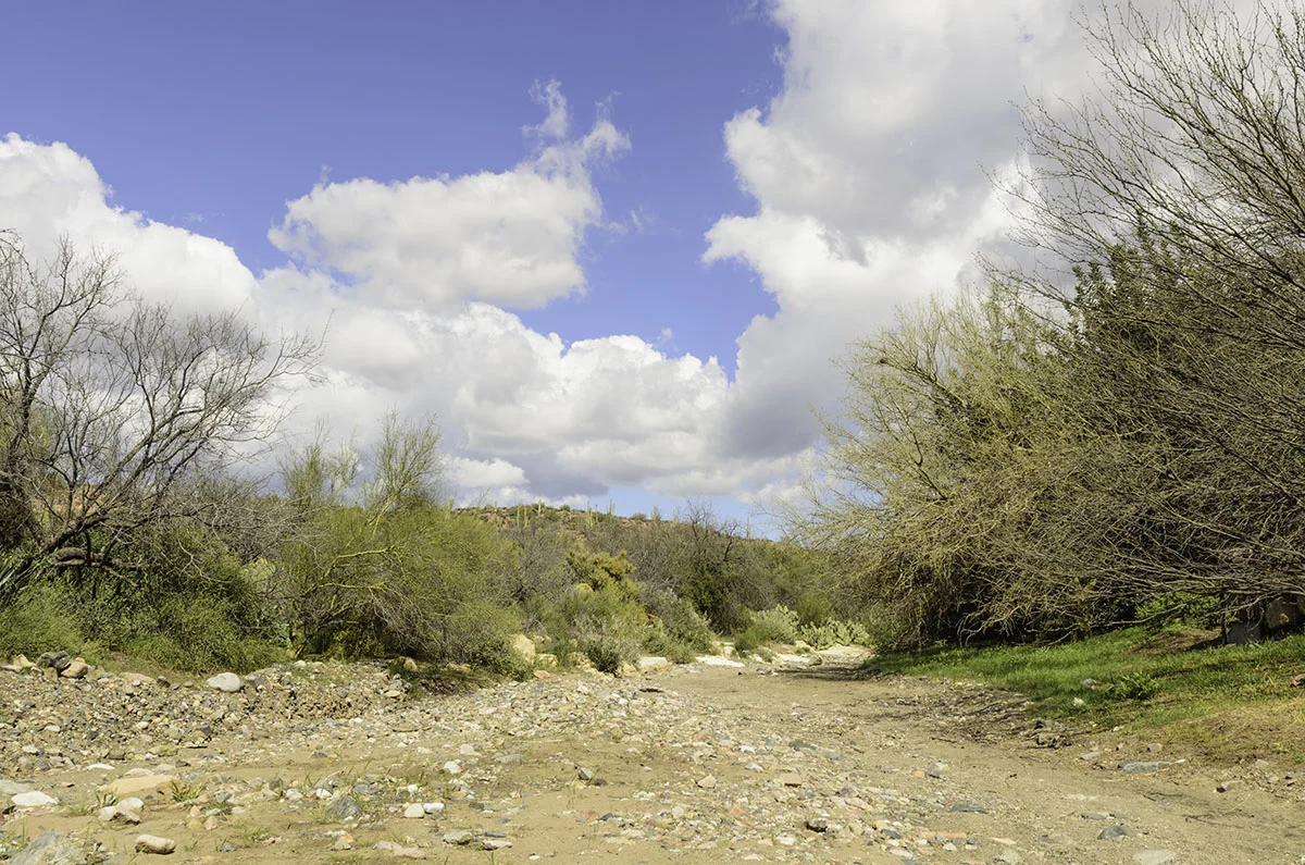 No flash flood today . . .