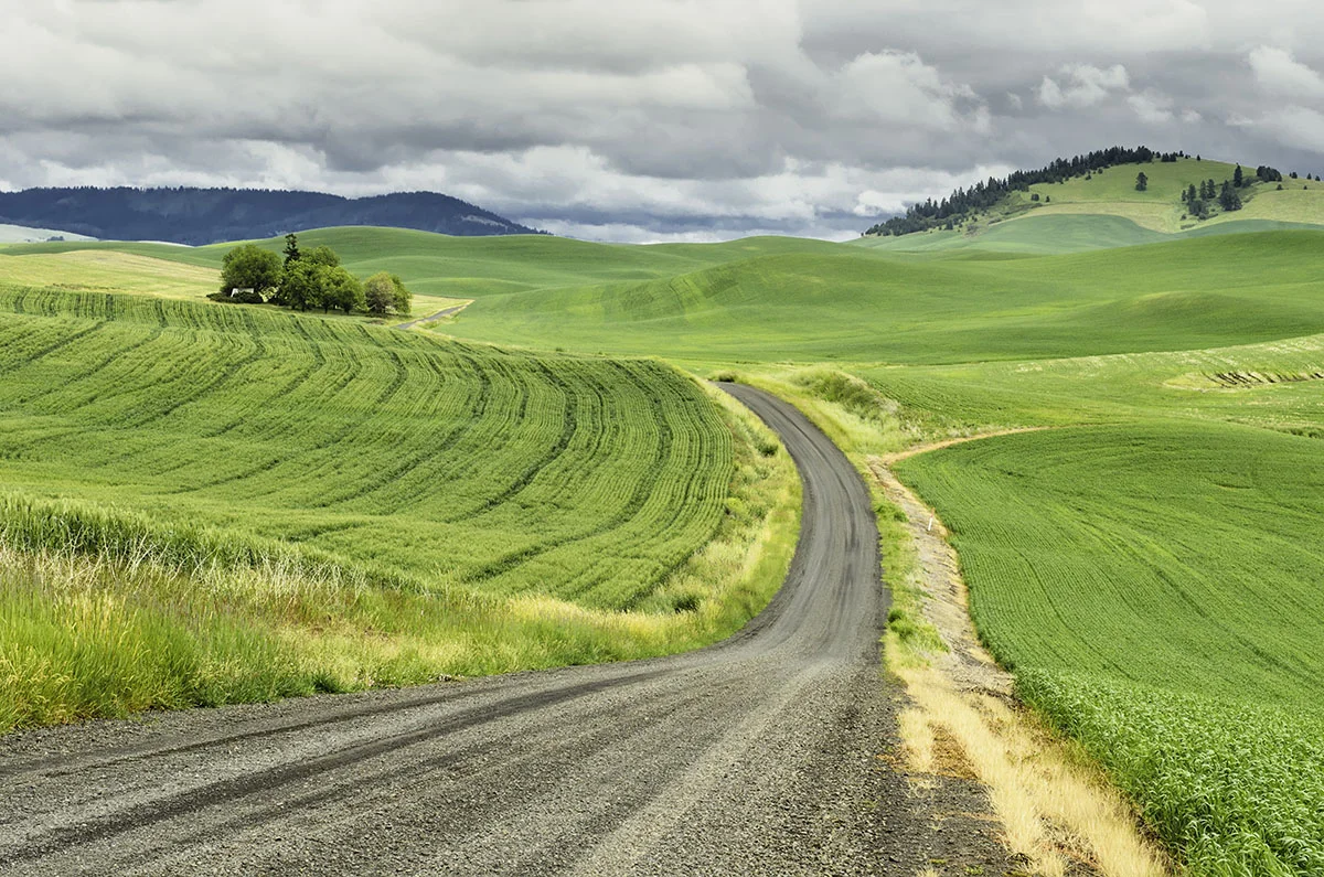 Winding country road in the Pacific Northwest