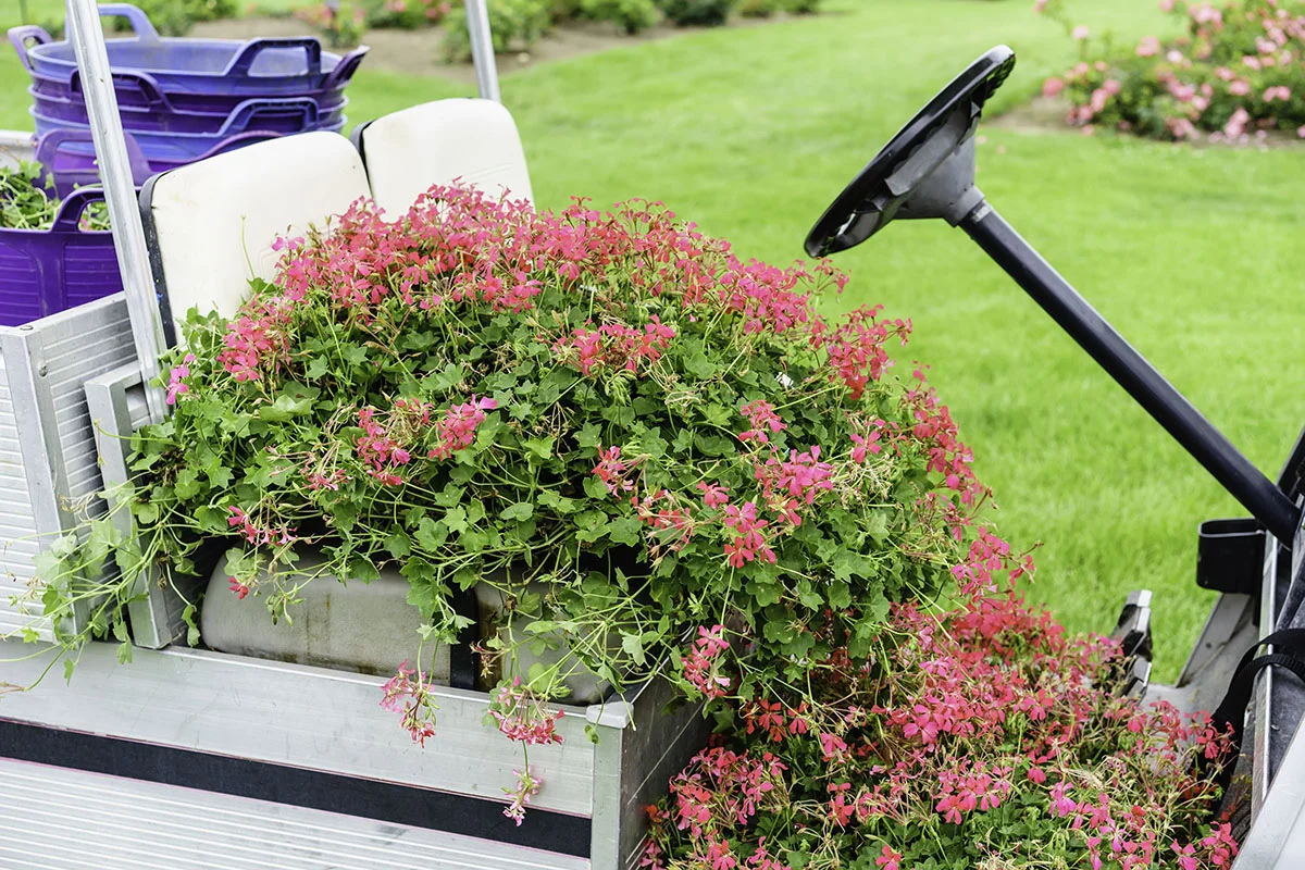 Summer in the driver's seat