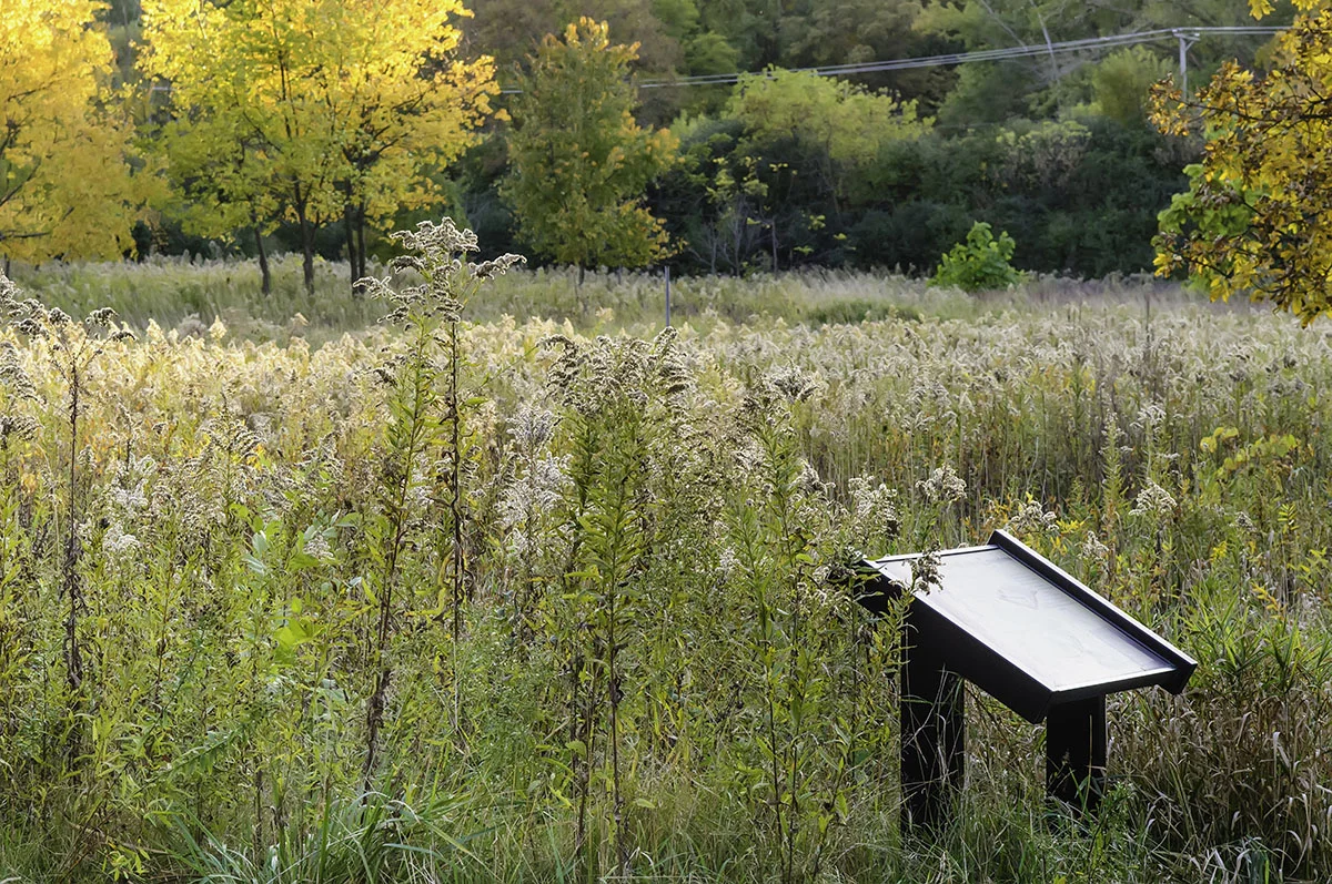 Trail guide to help connect your mind with nature in autumn