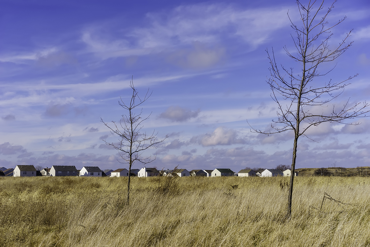 Prairie development: An environmental study in coexistence