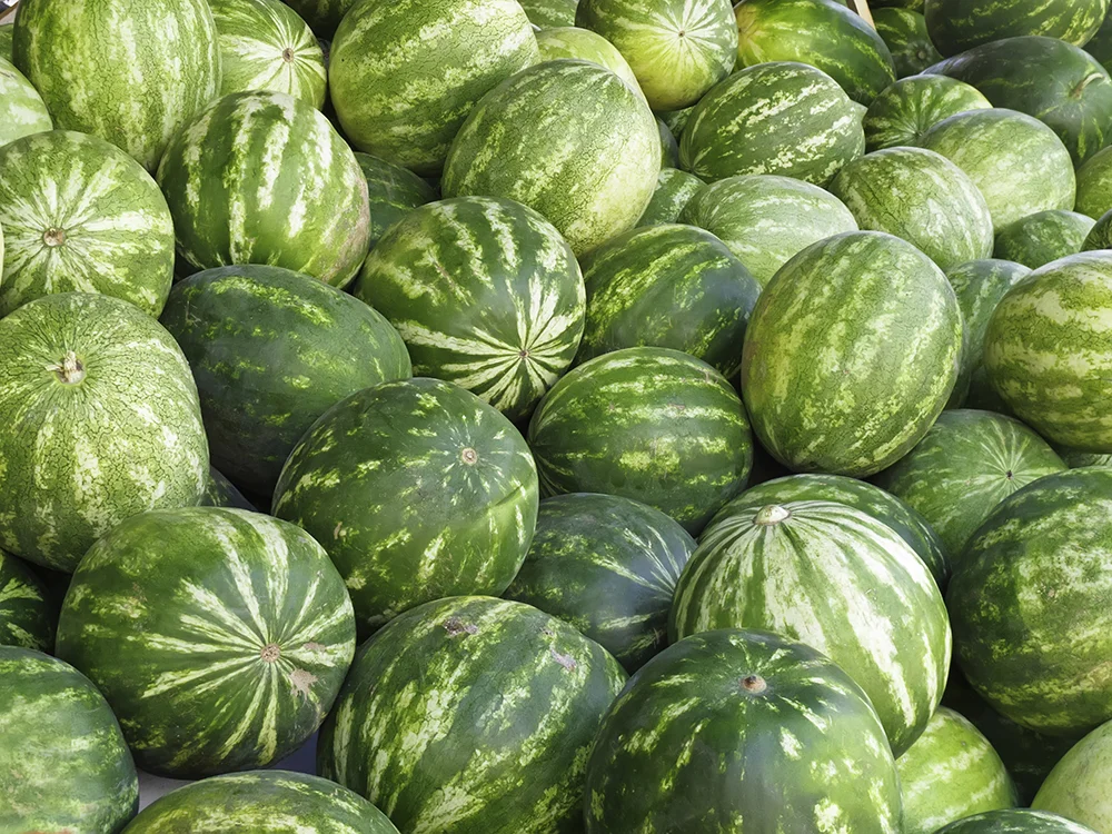 Watermelons