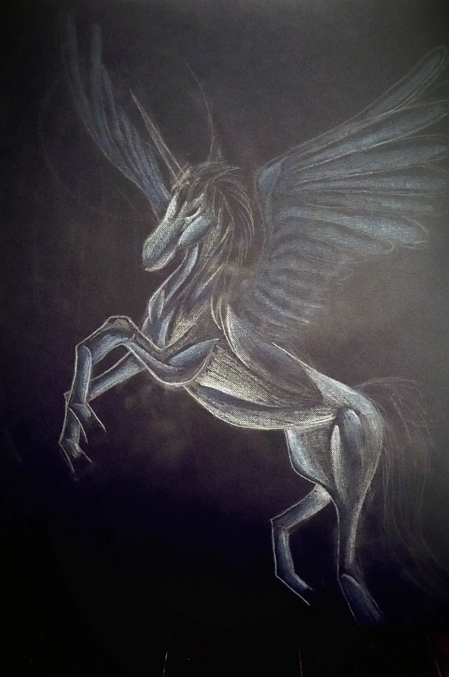 Shading the muscle with blue and white highlights.