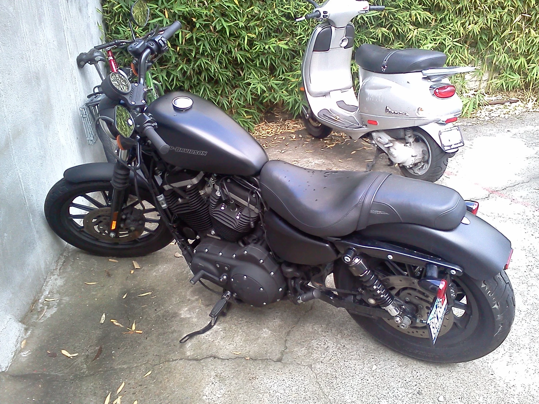 The Harley