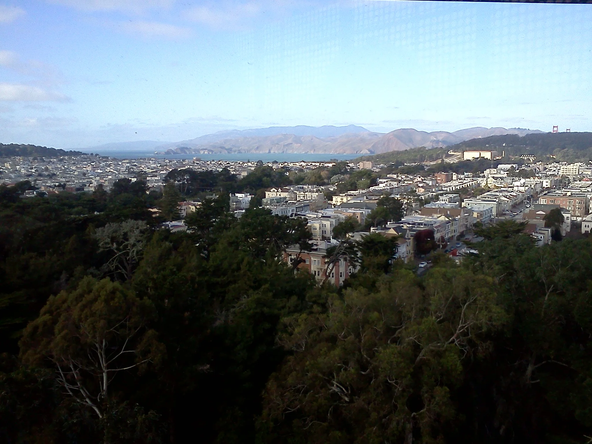 SF from Lincoln Park, January 2012