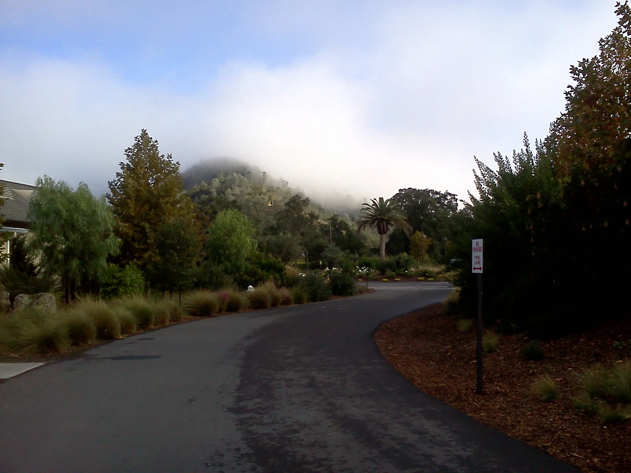 Solage, Calistoga, November 2011