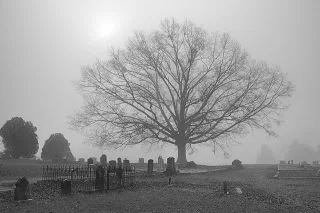 Fort Cemetery at Watson Mill Bridge State Park in GA. Copyright Jamie Holdorf, www.serendipisea.com