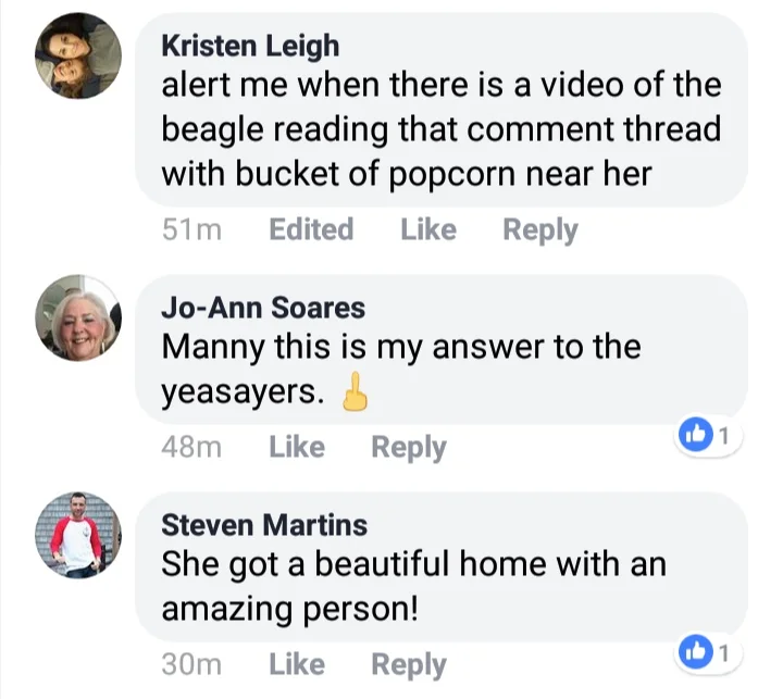 April 21st On same Facebook post Former Ward 2 Councilor and good friend of Linda Morad Steven Martins claims dog found “beautiful home”