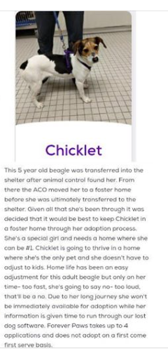 Screen Shot 2019-02-11 at 11.44.08 PM.png