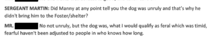 Forever Paws Director Casey Fredette claims dog was not “unruly” but timid. Yet meant the dog 24 days capture claims she is still “feral” despite living with Morad for 2 weeks in a residence.