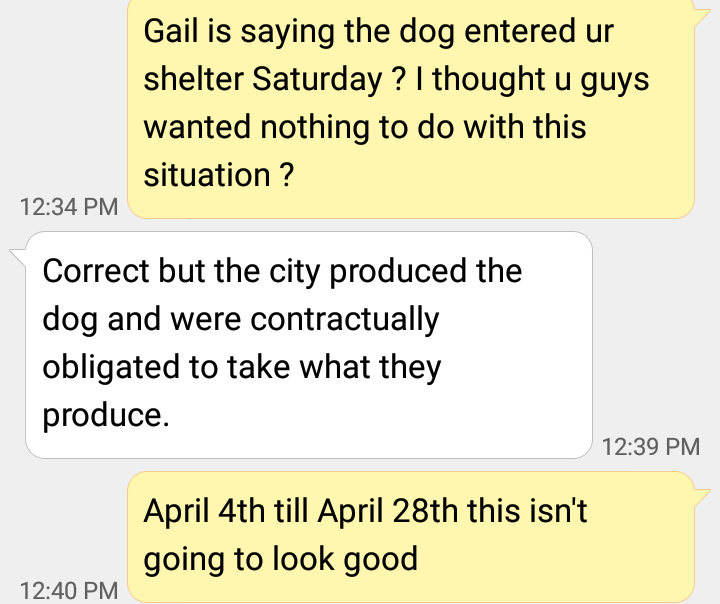 Forever Paws Director Casey Fredette after publicly and privately denying anything to do with this dog for 24 days takes ownership of animal. Was the shelter threatened with city contract like volunteer stated in earlier email? Why the sudden change of attitude after 24 days?