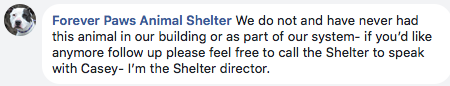 April 20th same day as New Bedford Police facebook post Forever Paws publicy denies having anything to do with this dog.
