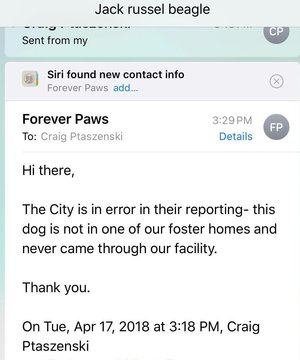 April 17th Forever Paws publicly and privately deny having anything to do with this dog.