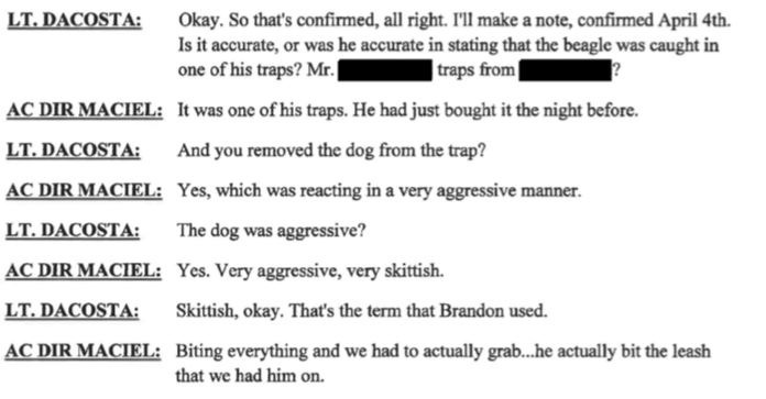 Maciel claims dog was aggressive yet was walking around for 40 minutes around the office with no issues 5 days later?