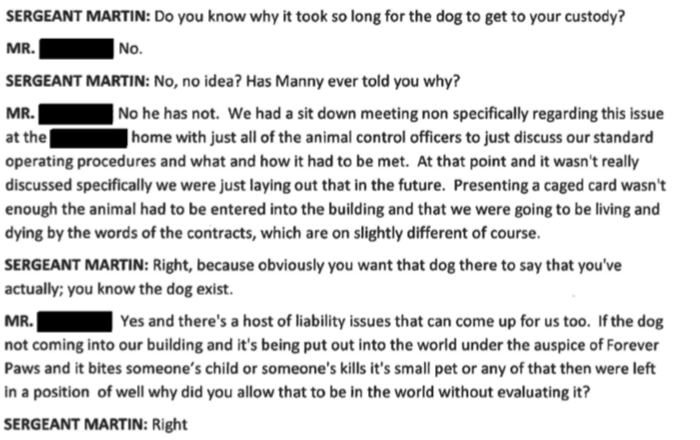 Forever Paws Director Casey Fredette response