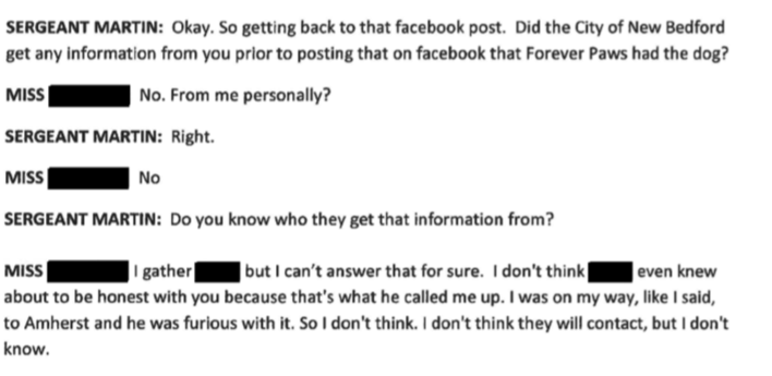 Forever Paws President Gail Furtado admits to never speaking to Nathaniel Rodriguez before press release was issued