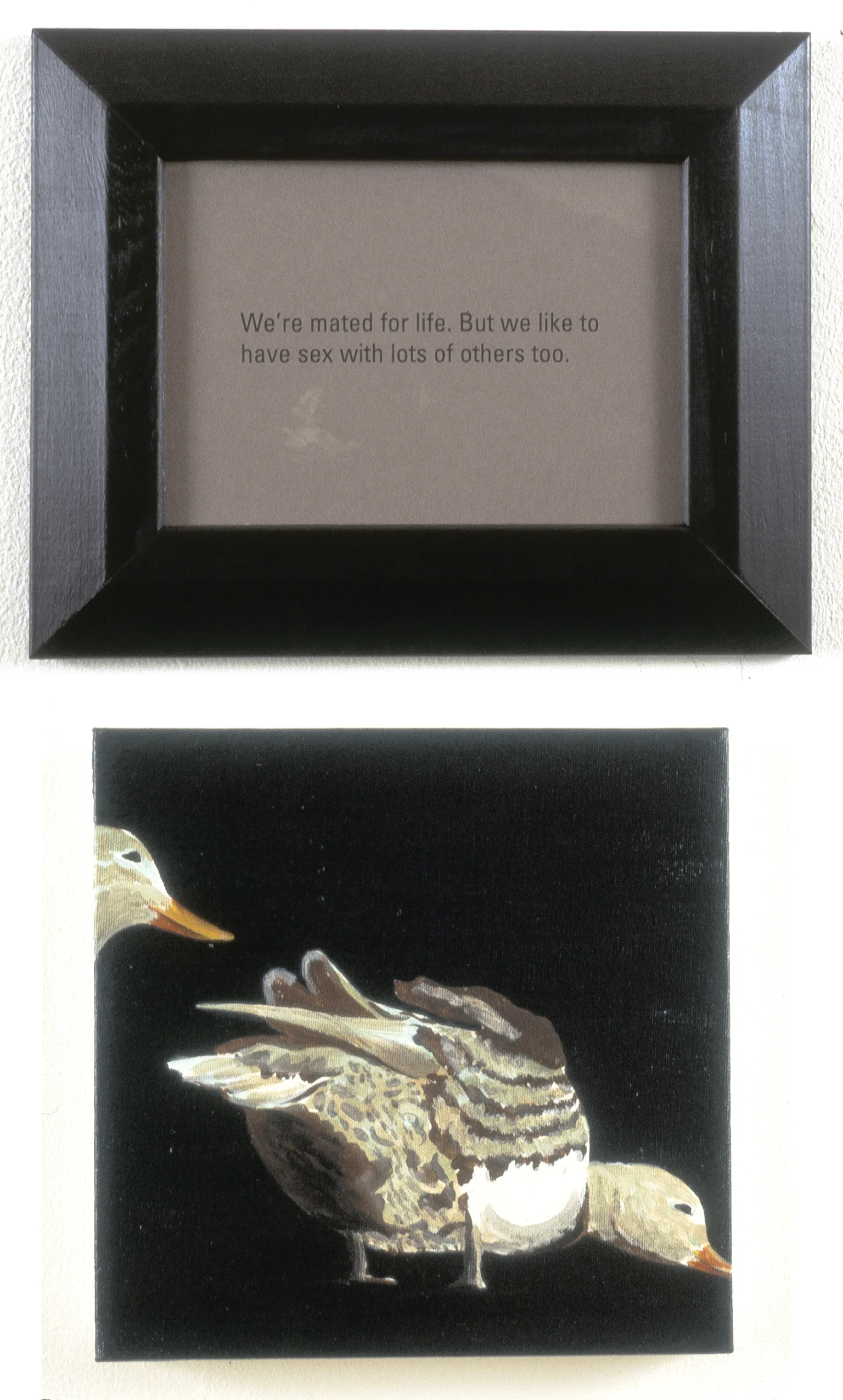Sex Lives Of Animals: Duck, 1995