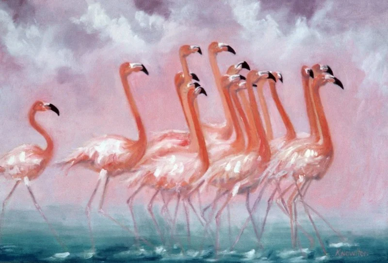 flamingos.jpg