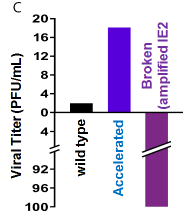 CMV - Panel 3.png