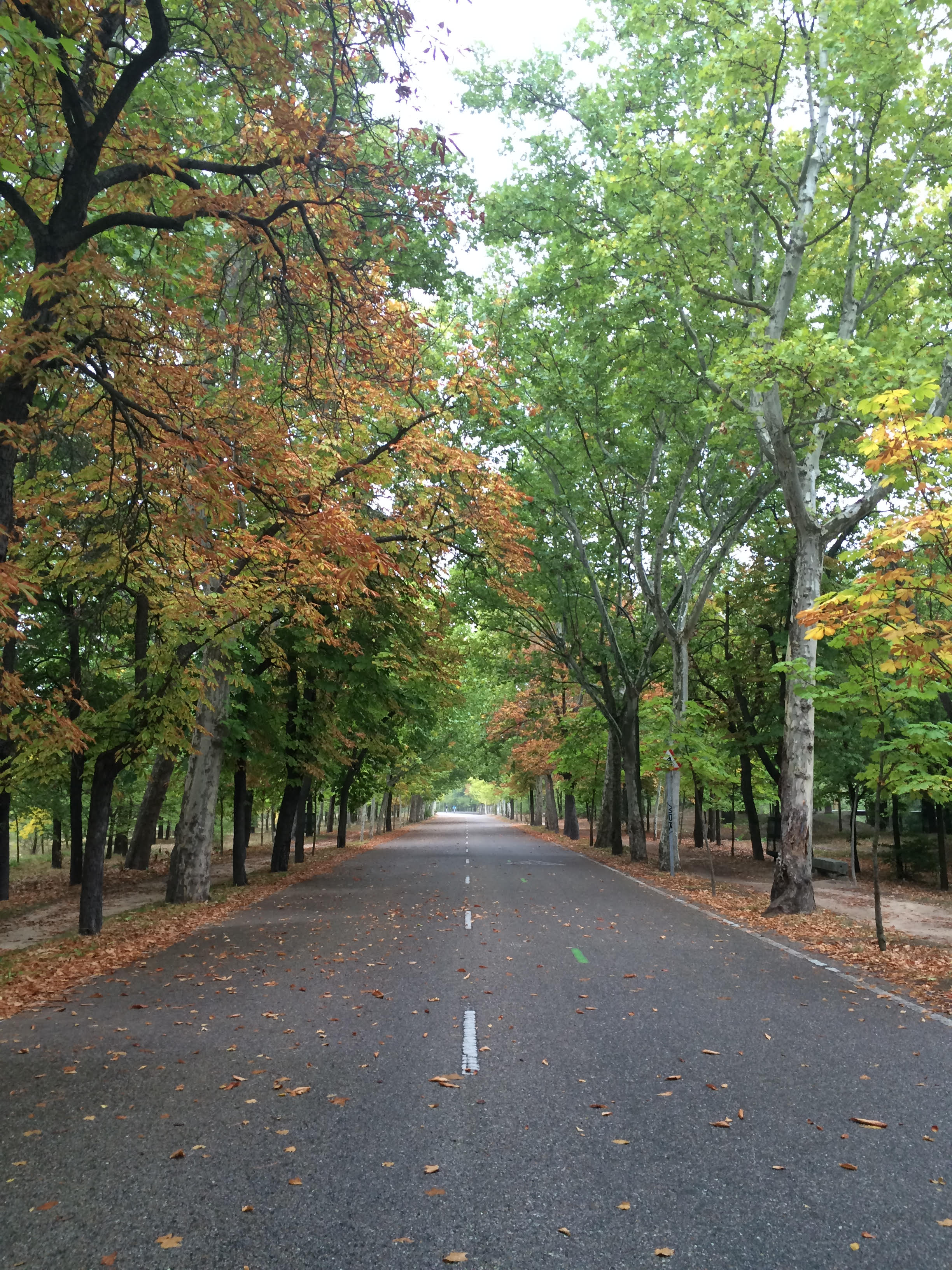 LifeCycle Biking Rides: Madrid, Spain