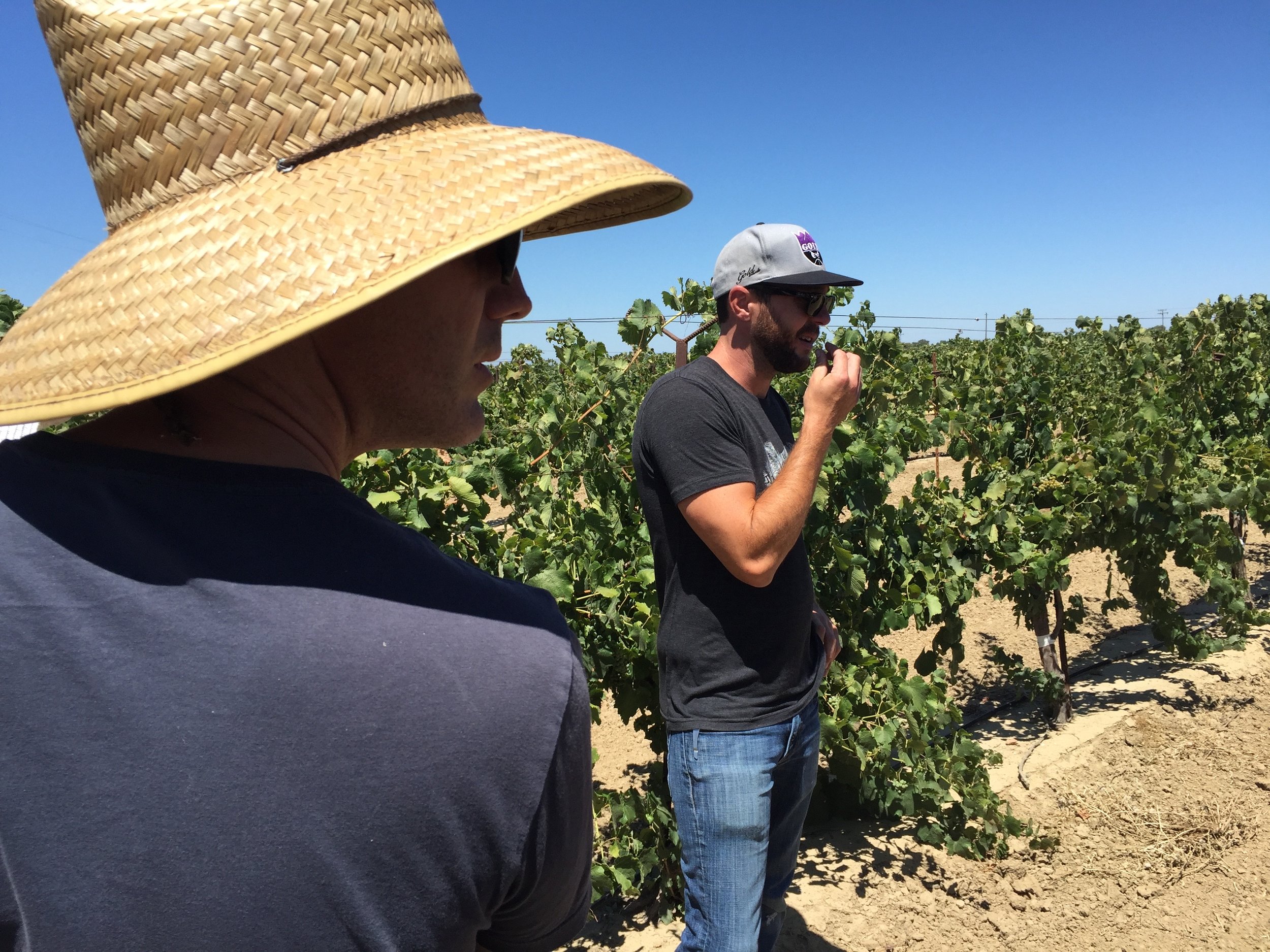 Kirchhoff Vineyard