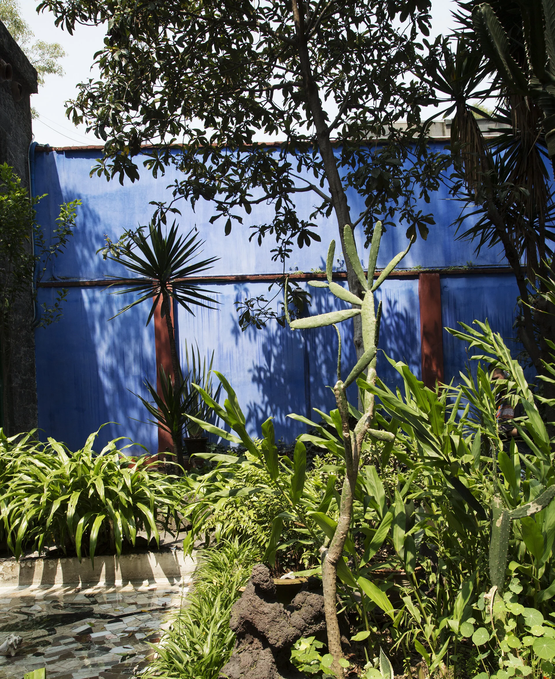 casaazul3.jpg