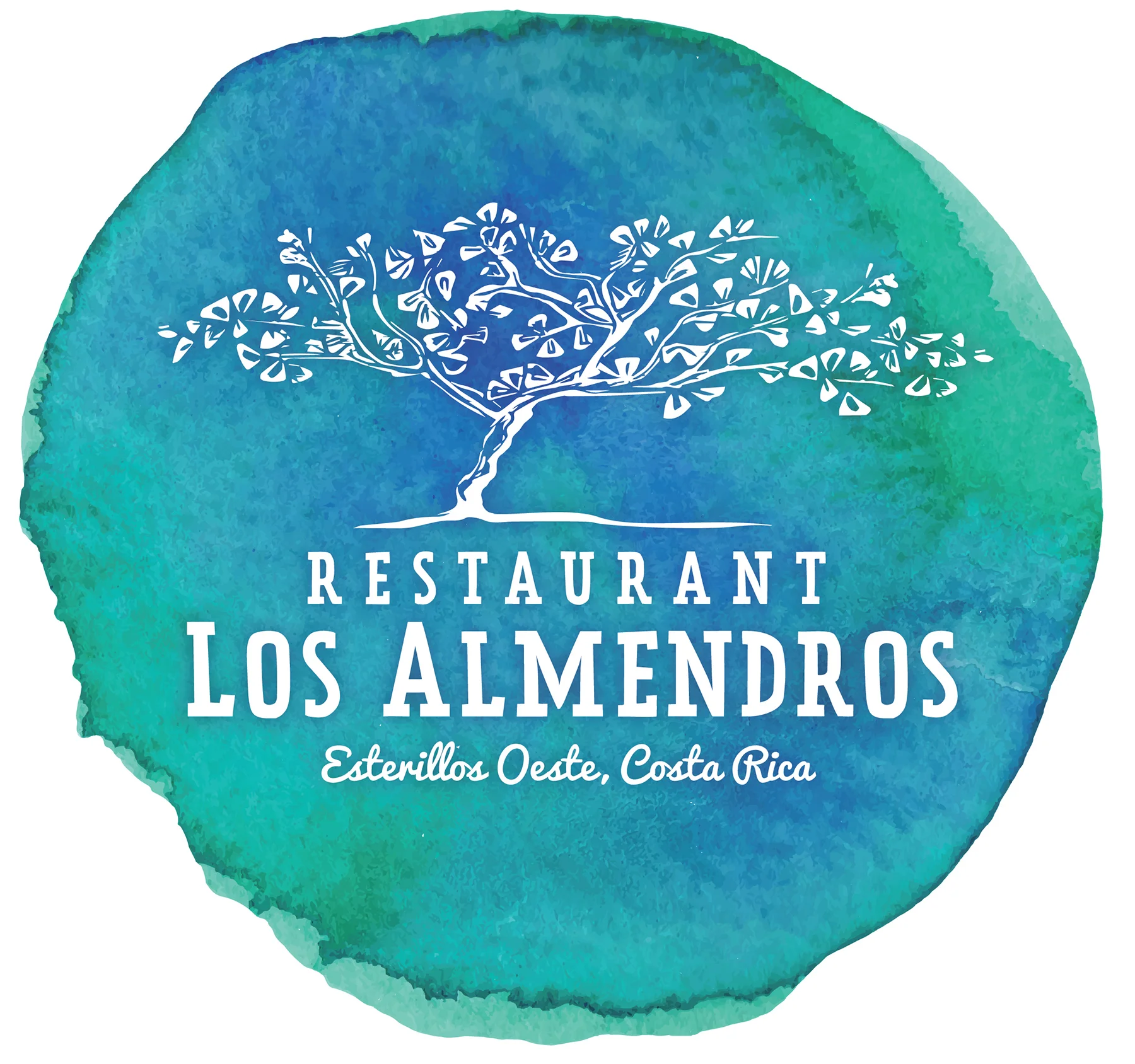 Screen+Shot+2015-10-28+at+12.44.16+AM copy.jpg