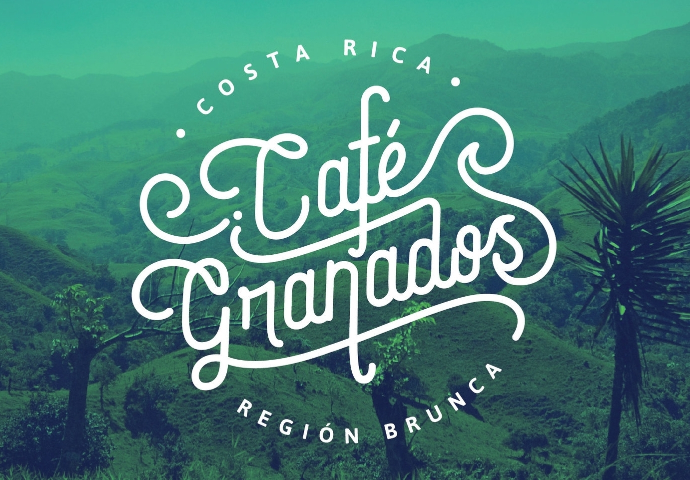 GM0001+BM+R1+CAFE+GRANADOS+IDEAS-18.jpg