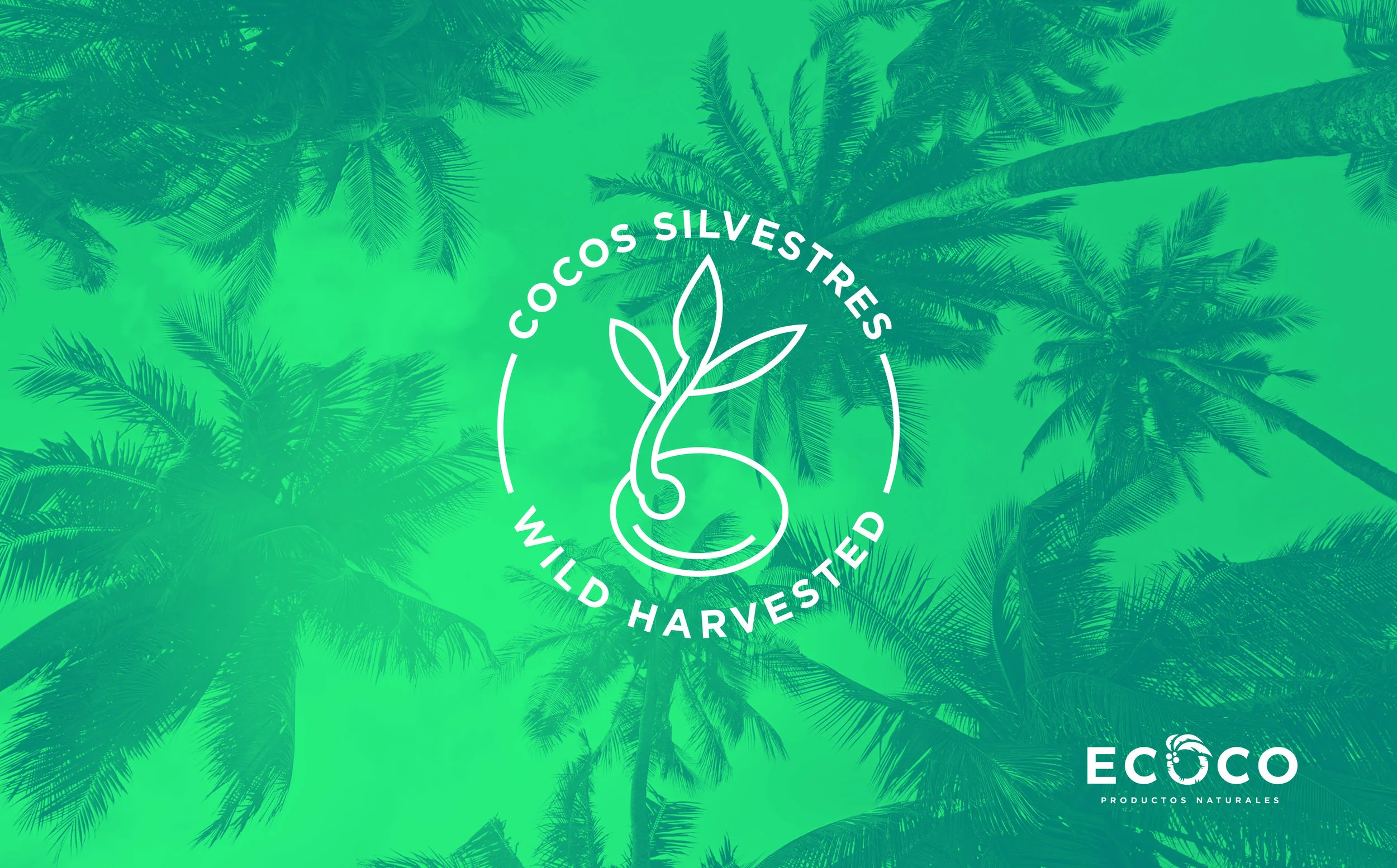 ECOCO LOGO W COCONUT-GREEN.jpg