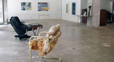 Gallery Selections / Installation View