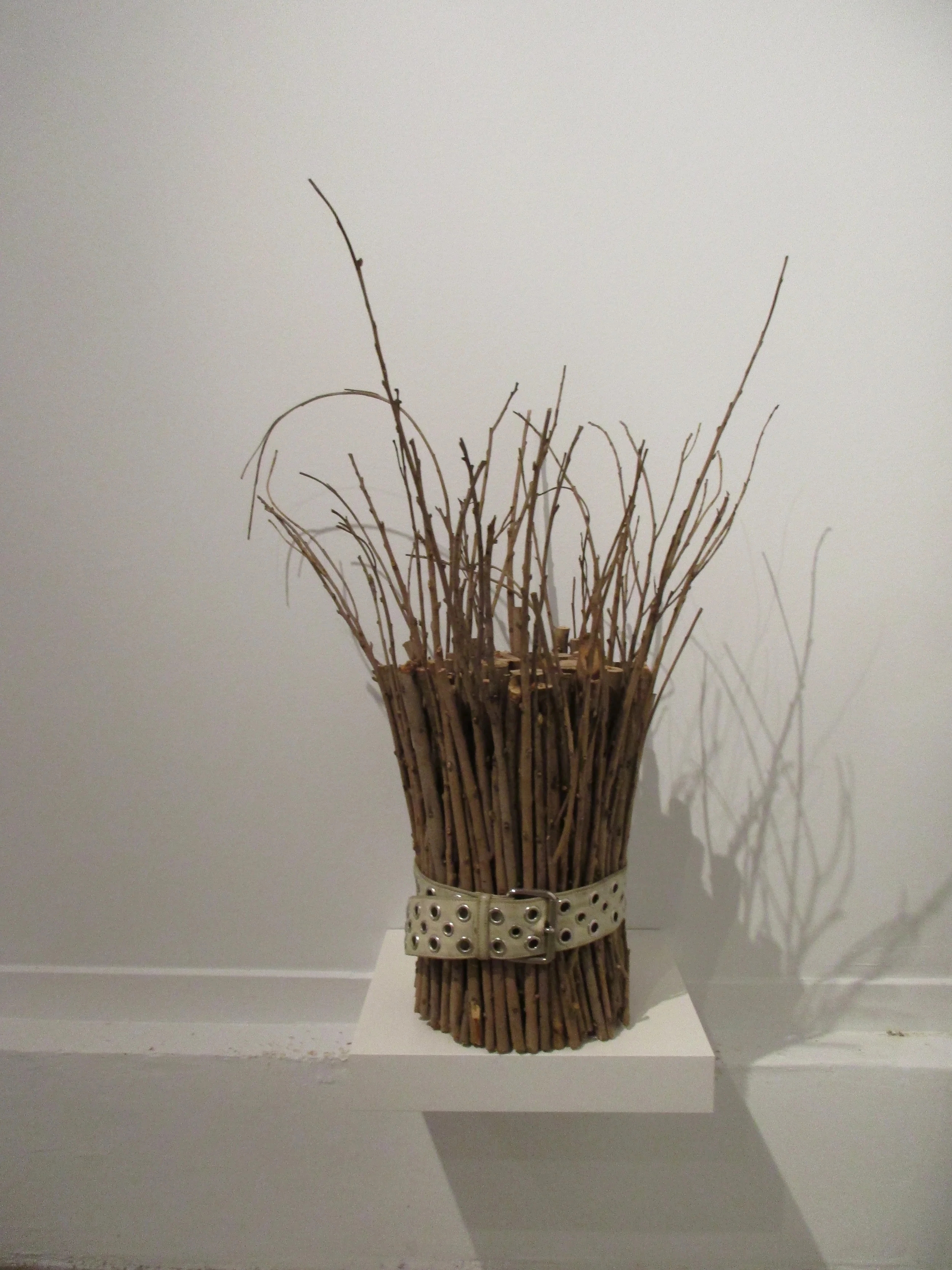 Tinder, white circles