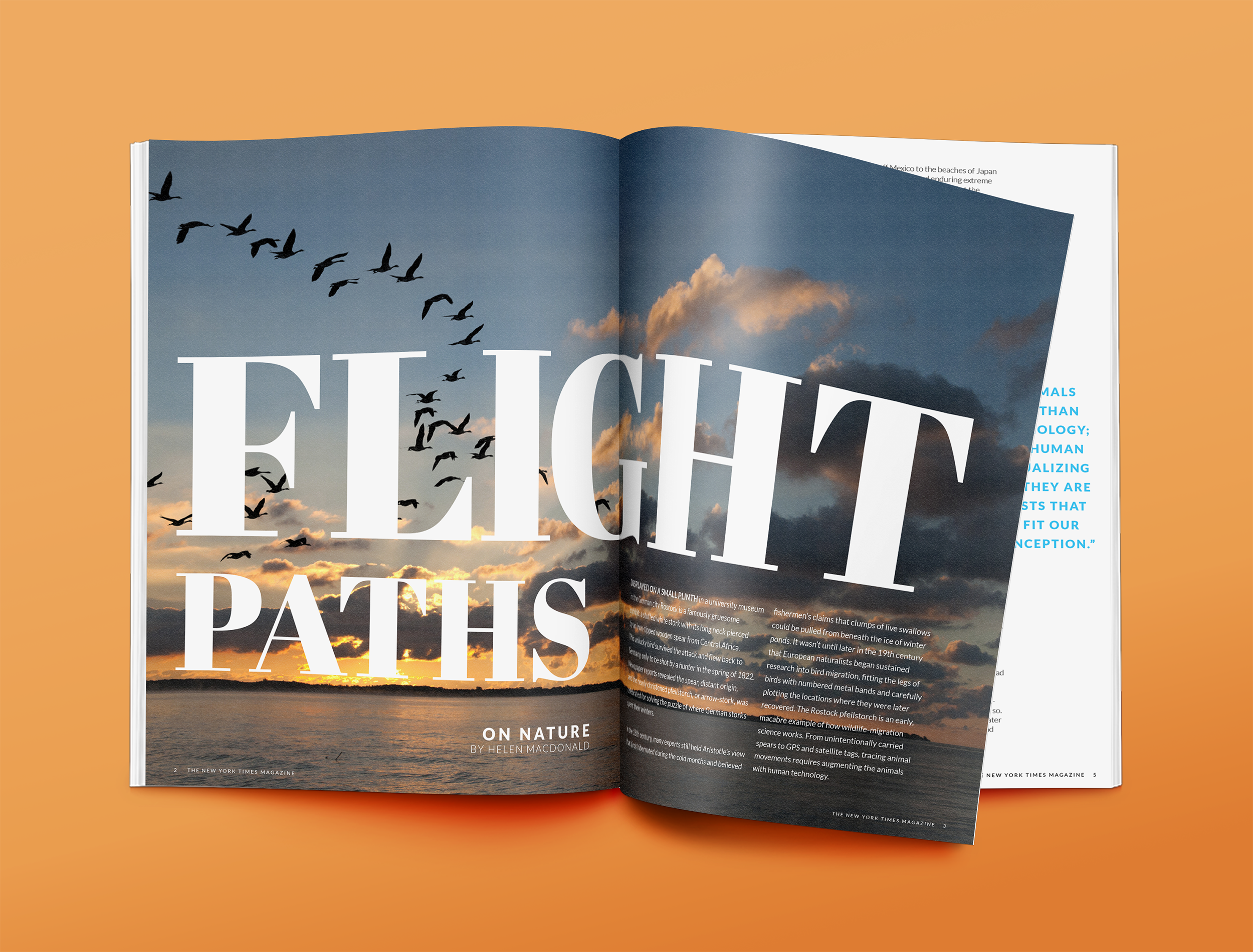 Mock Magazine Layout