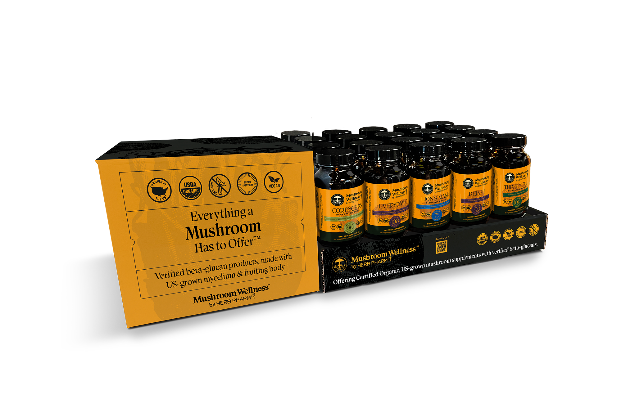 Mockup_Shelf-Display_OCT-2024.png