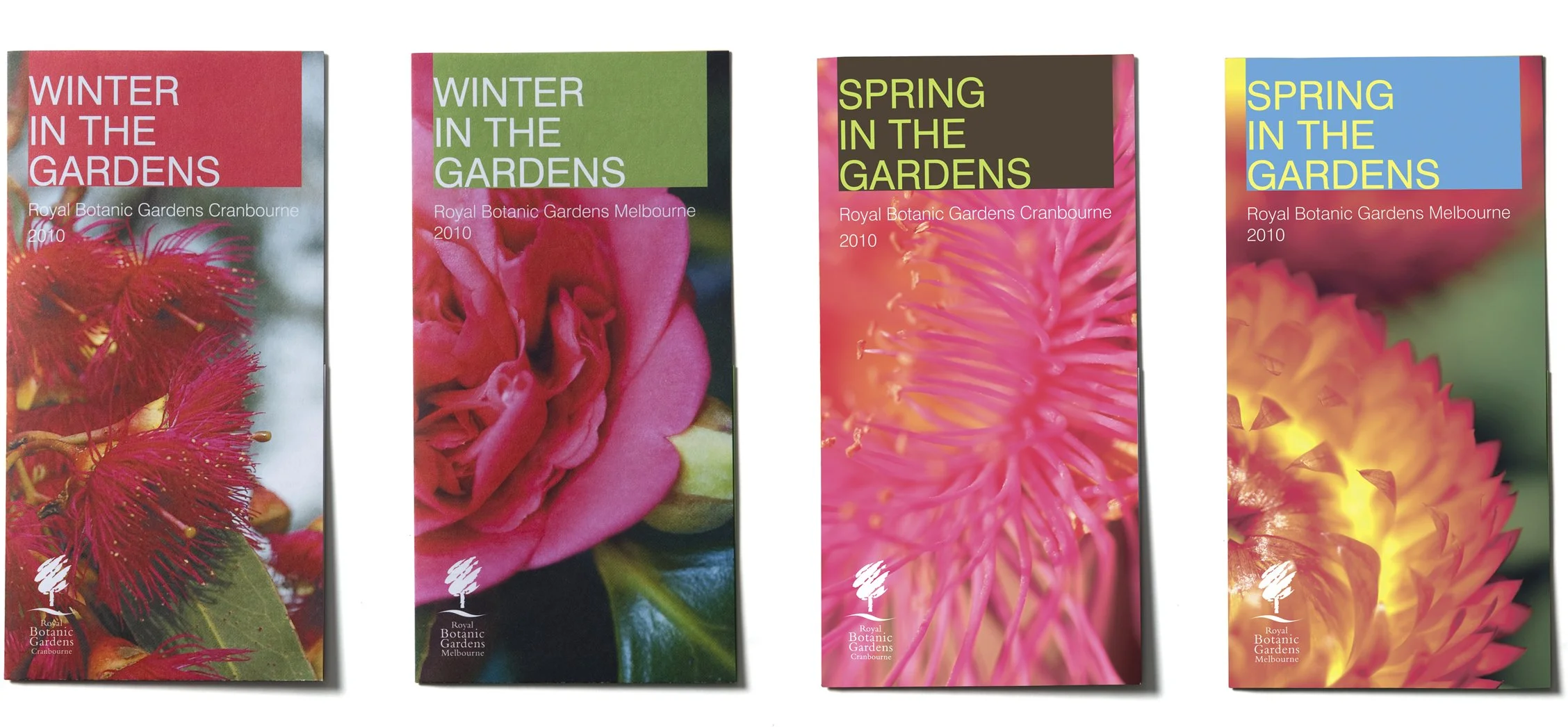 RGB-WinterandSpring (1).jpg