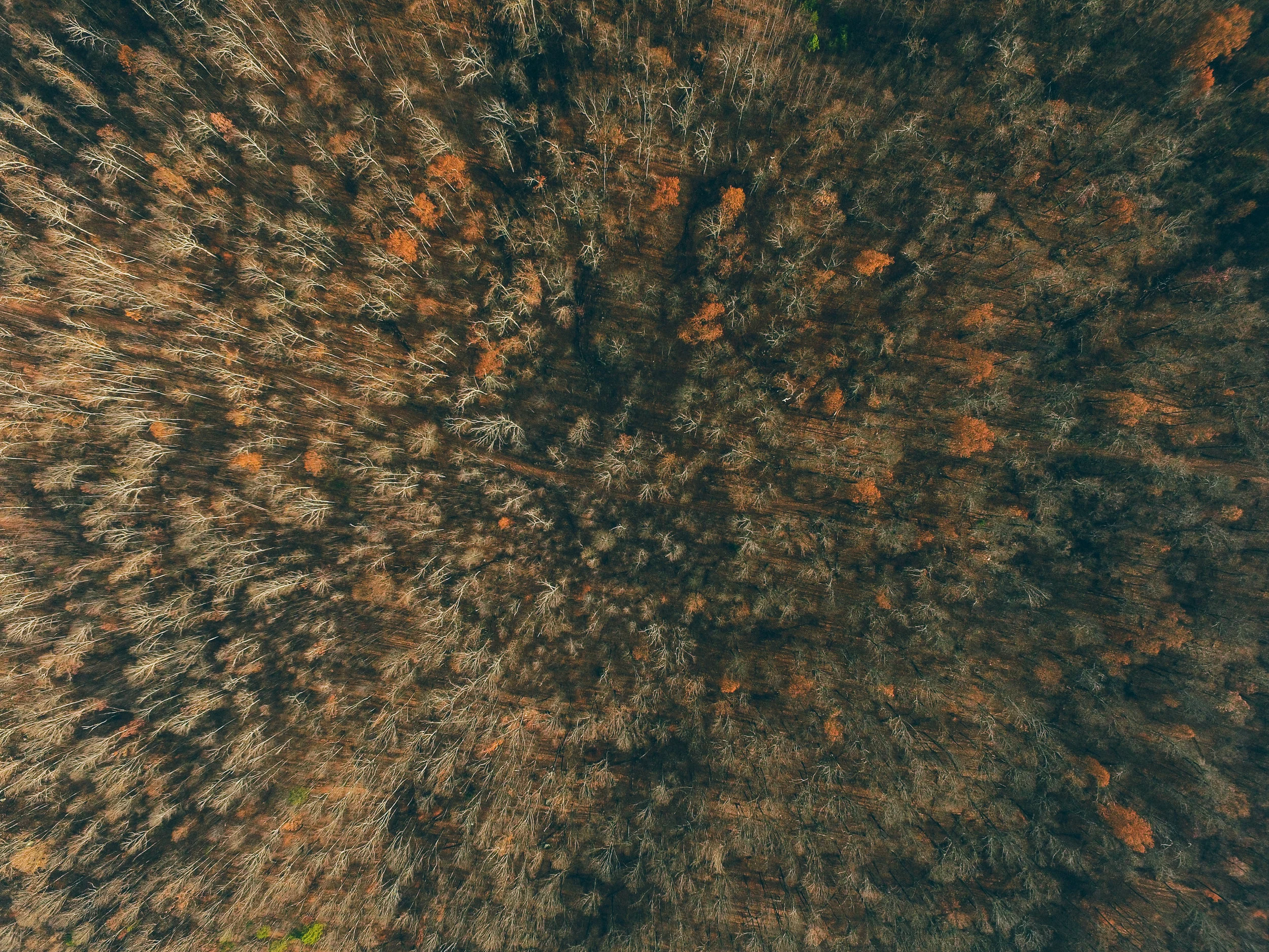 31064041053_bb49bb97e5_o.jpg